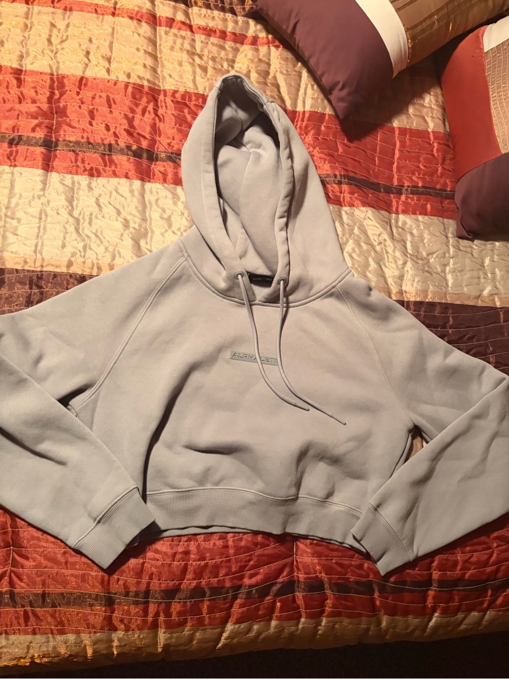 Light grey alphalete Cropped Hoodie - Women